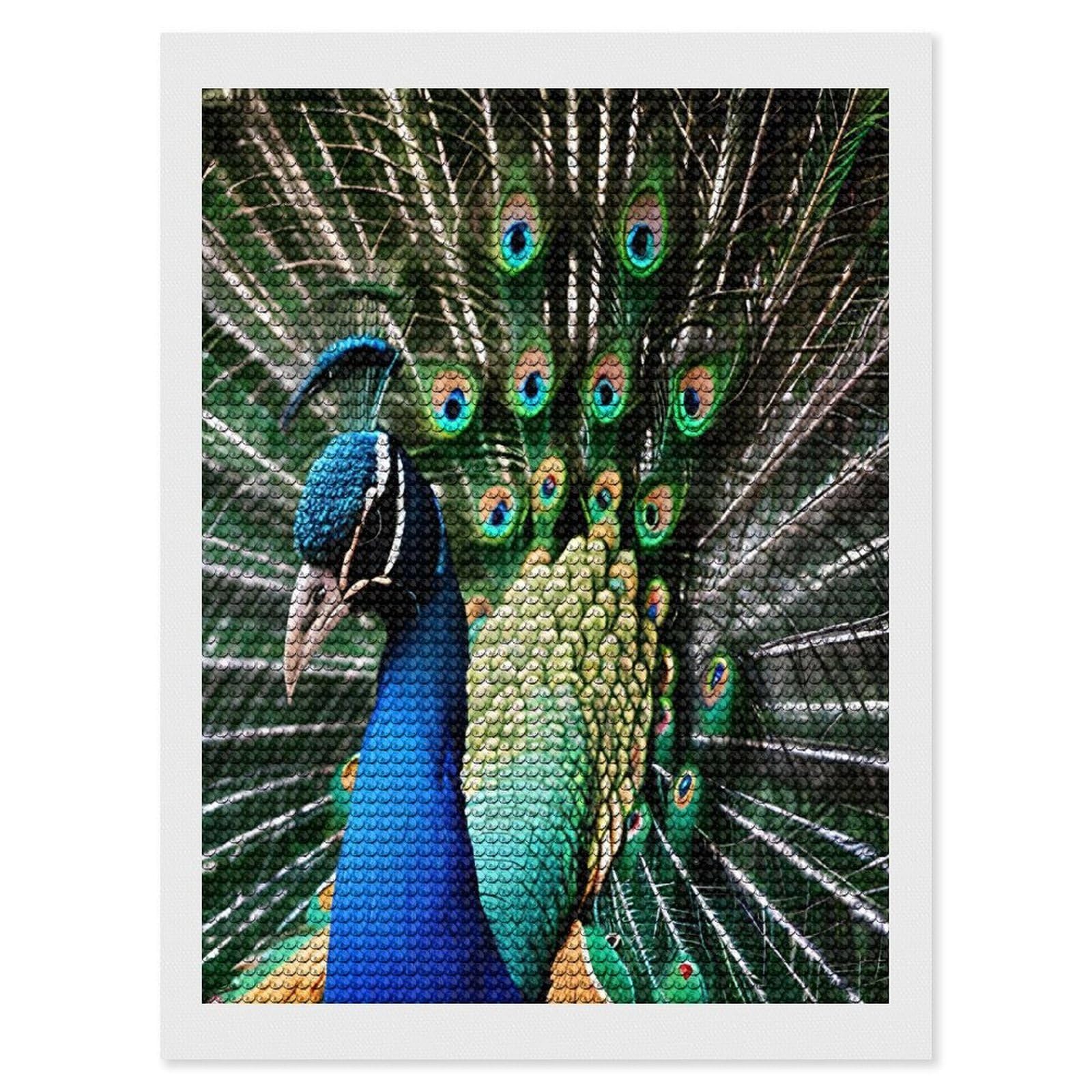 VstaDank Peacock Diamond Painting Kits Exquisite DIY Full Round Drill Diamond Dots Painting for Adults Beginner Diamond Photo Paint with Diamond Picture Art Wall Decor 12"x16"