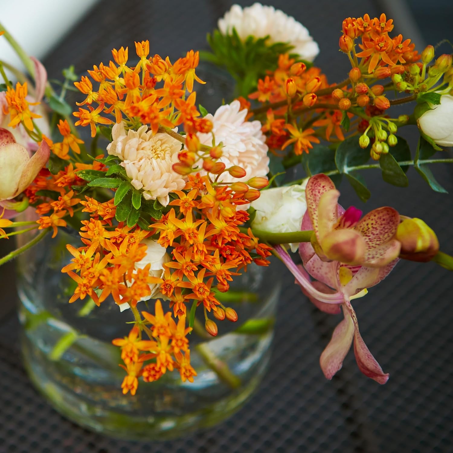 The Old Farmer's Almanac Butterfly Milkweed Flower Seeds - Premium Non-GMO, Open Pollinated, USA Origin (5 Packets - 2 Grams - Approx 200 Seeds)