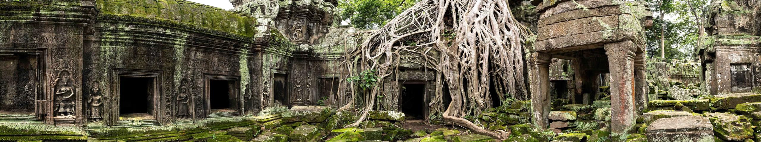 Reptile Habitat Background; Angelina's Ta Prohm Temple Ruins for 20L Medium-Plus 30Lx12Wx12H Terrarium, 3-Sided Wraparound