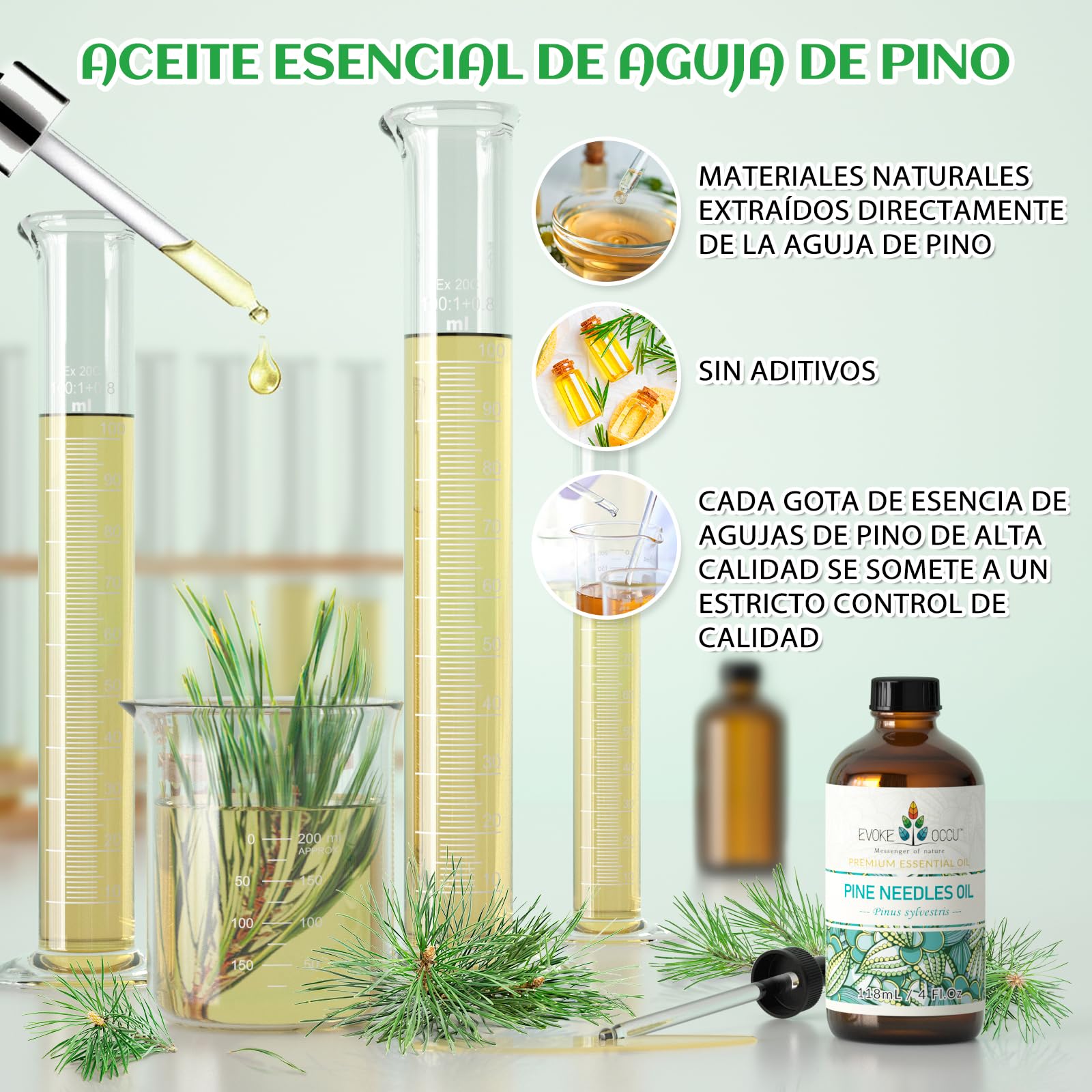 EVOKE OCCU Aceite Esencial de Aguja de Pino 4 Oz, Aceite Puro de Aguja de Pino para el Hogar Difusor Masaje Fragancia DIY Vela Fabricación de Jabón- 4 FL Oz