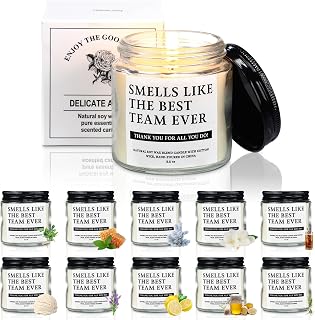 10 Pcs Employee Appreciation Gifts Christmas Scented Candles Bulk for Coworkers 3.5 Oz Thank You Gift for Best Team Office Corporate Home Decorations