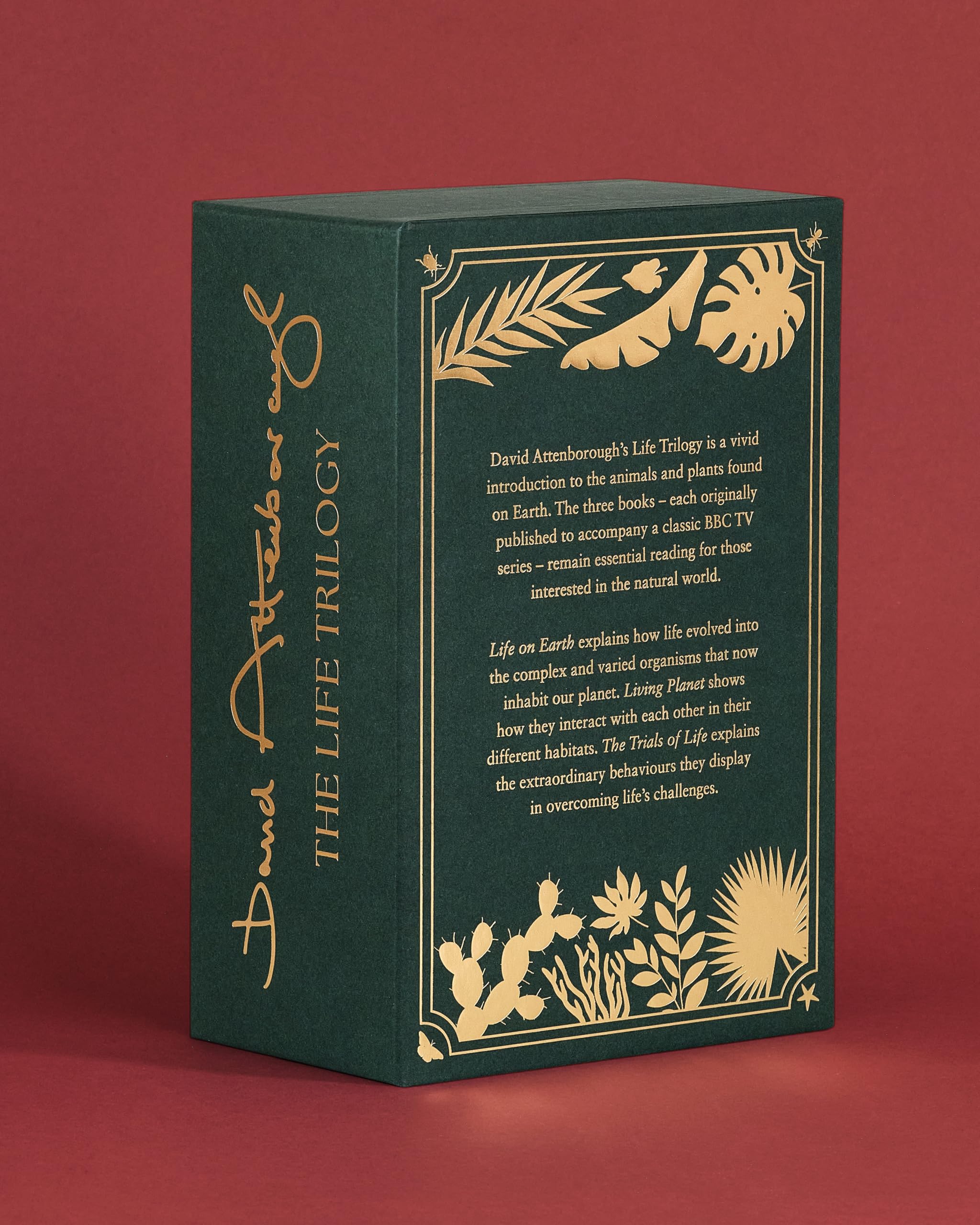 The Life Trilogy Boxset: The Greatest Story Ever Told