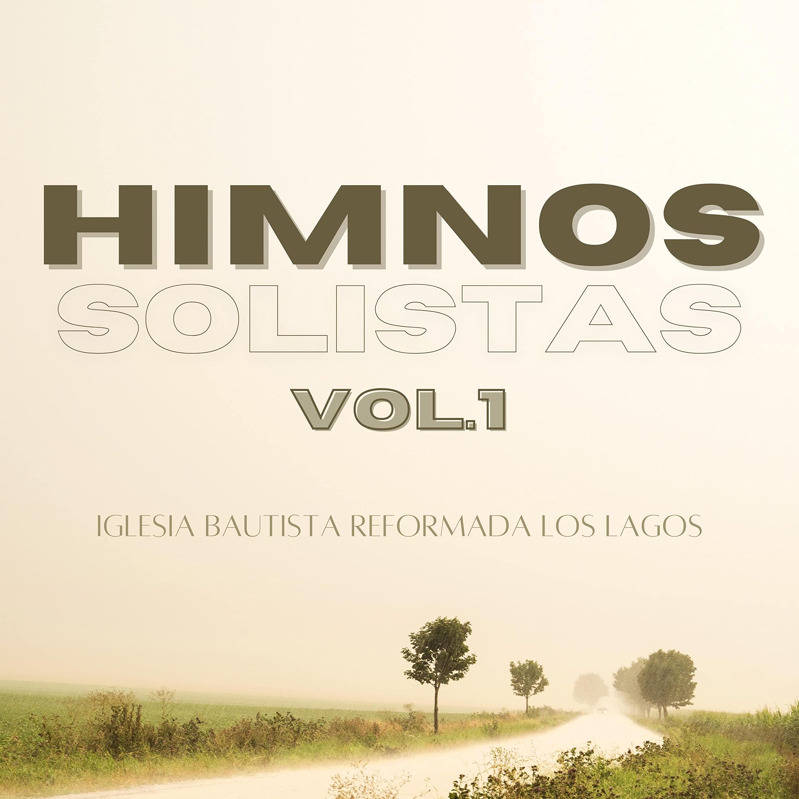 Iglesia Bautista Reformada Los Lagos