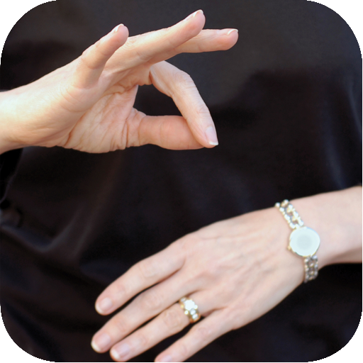 Launcher Sign Language How to Learn Sign Language - Limited Edition - App on Amazon Appstore