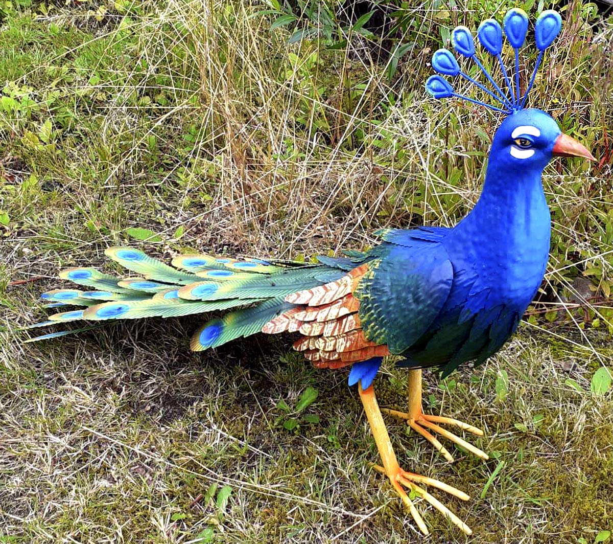 GeKi Trend Blauer Pfau Deko für Garten aus Eisen Metall Gartendeko groß Dekofigur wetterfest ca. 42 cm H x 70 cm L