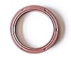 EAI 55mm x 70mm x 8mm FPMFKM TC Double Lip wStainless Steel Spring Oil Seal. Comp. w Viton Shaft Seal