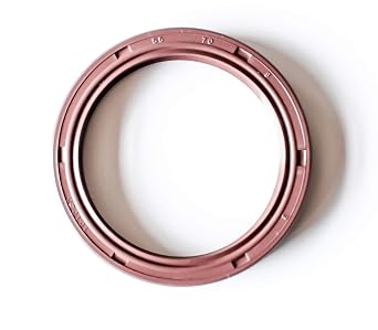EAI 55mm x 70mm x 8mm FPM/FKM TC Double Lip w/Stainless Steel Spring Oil Seal. Comp. /w Viton Shaft Seal
