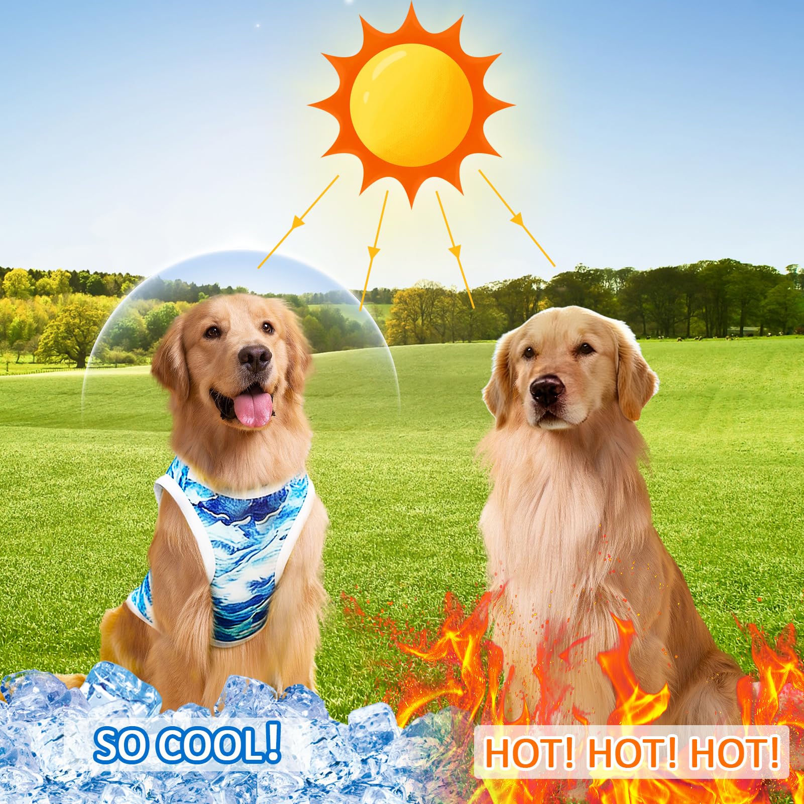 Gilet Rafraichissant Chien, Gilet Rafraîchissant pour Chien en Été, Manteau Rafraichissant pour Chien, Respirante et Légere, Veste de Refroidissement pour Chien de Taille Petits et Moyens
