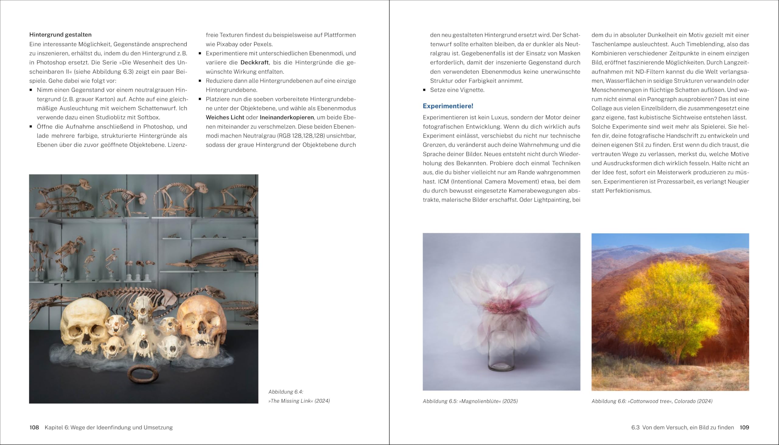 Fine-Art-Fotografie: Dein Weg zu künstlerischem Ausdruck