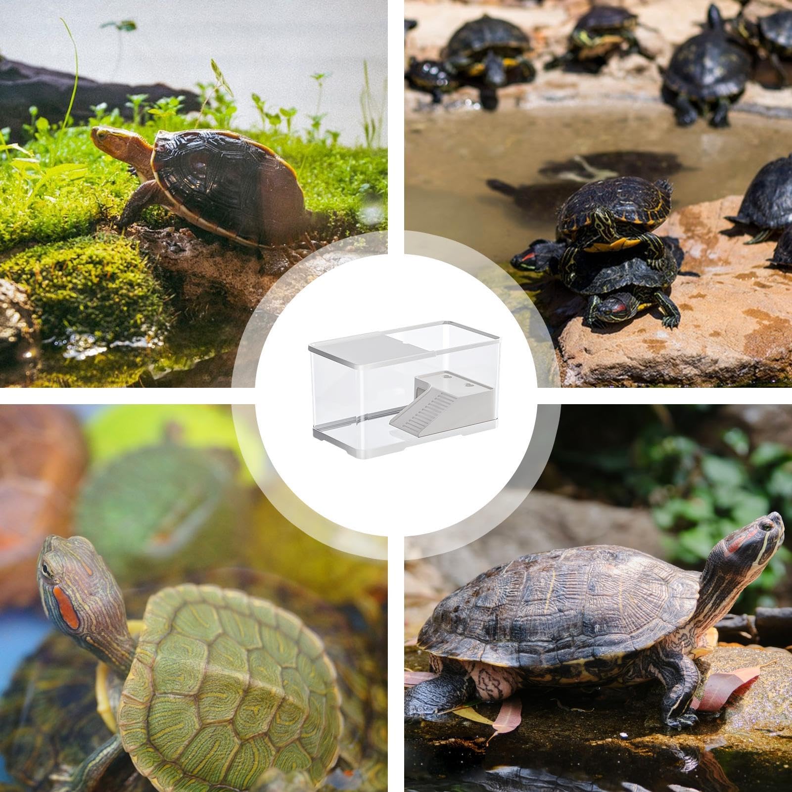 Acquario per Tartarughe Terrario Rettili Con Zona Basking | Vasca Per Rettili, Tartarughe Acquatiche, Piccoli Anfibi E Animali Acquatici