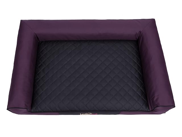 Foto 3 de 6 de Bjird Cama para Perros - Cuna para Dormir con Funda de Cordura Extraíble (Lavable a 30°)