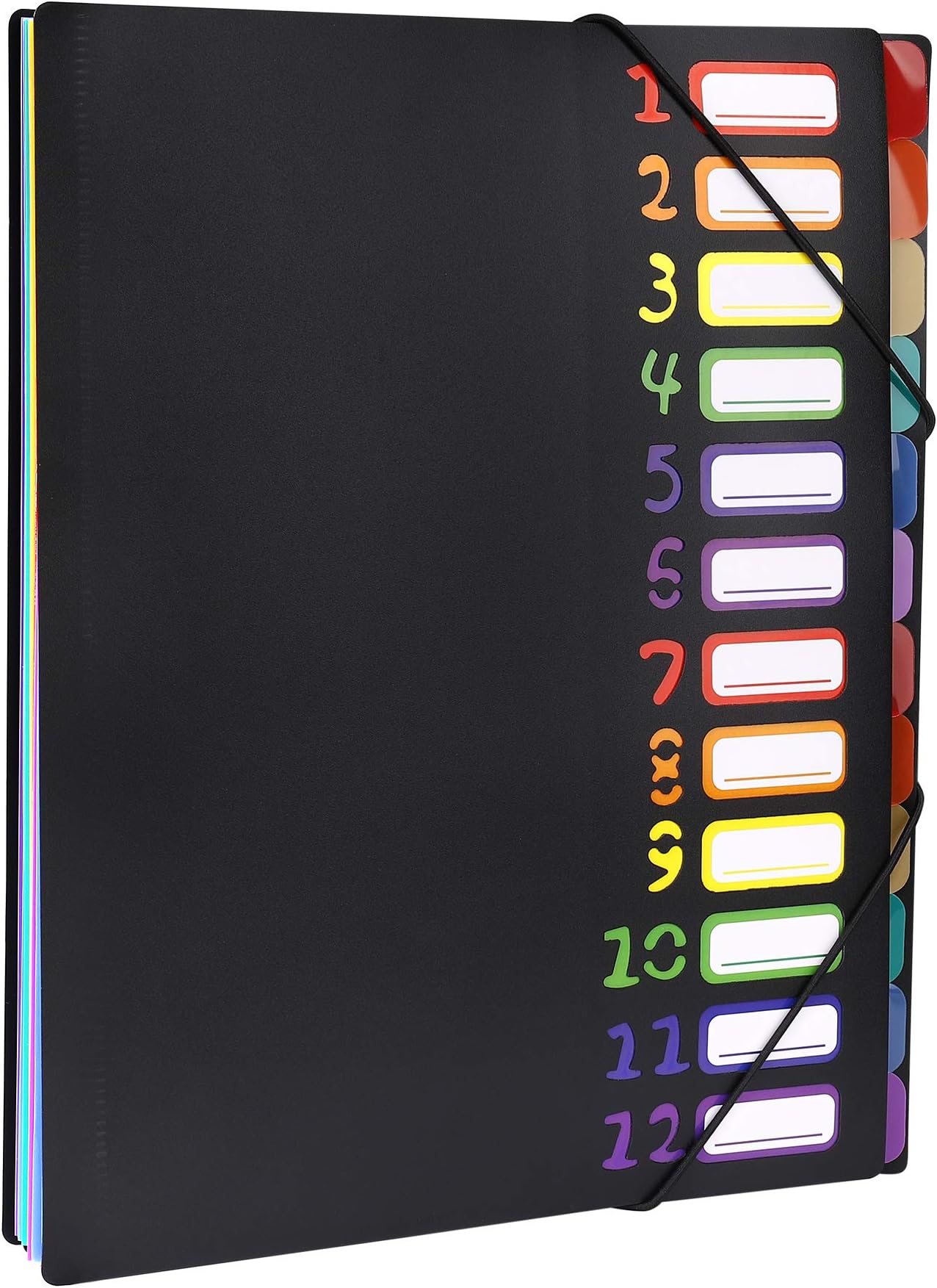 Trieur 12 Compartiments A4 2 Trieurs Documents A4 13 Compartiments - Organisateur Accordéon Pour Bureau Ou Maison étiquettes Colorées