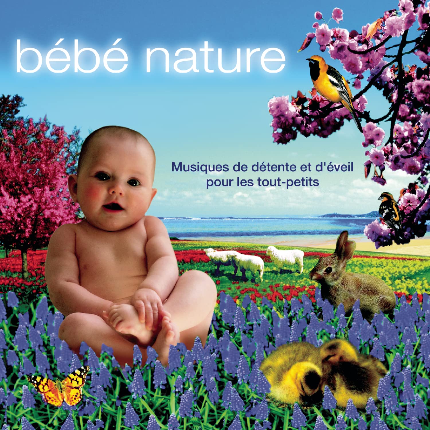 B B Nature [Audio CD] Rondinara