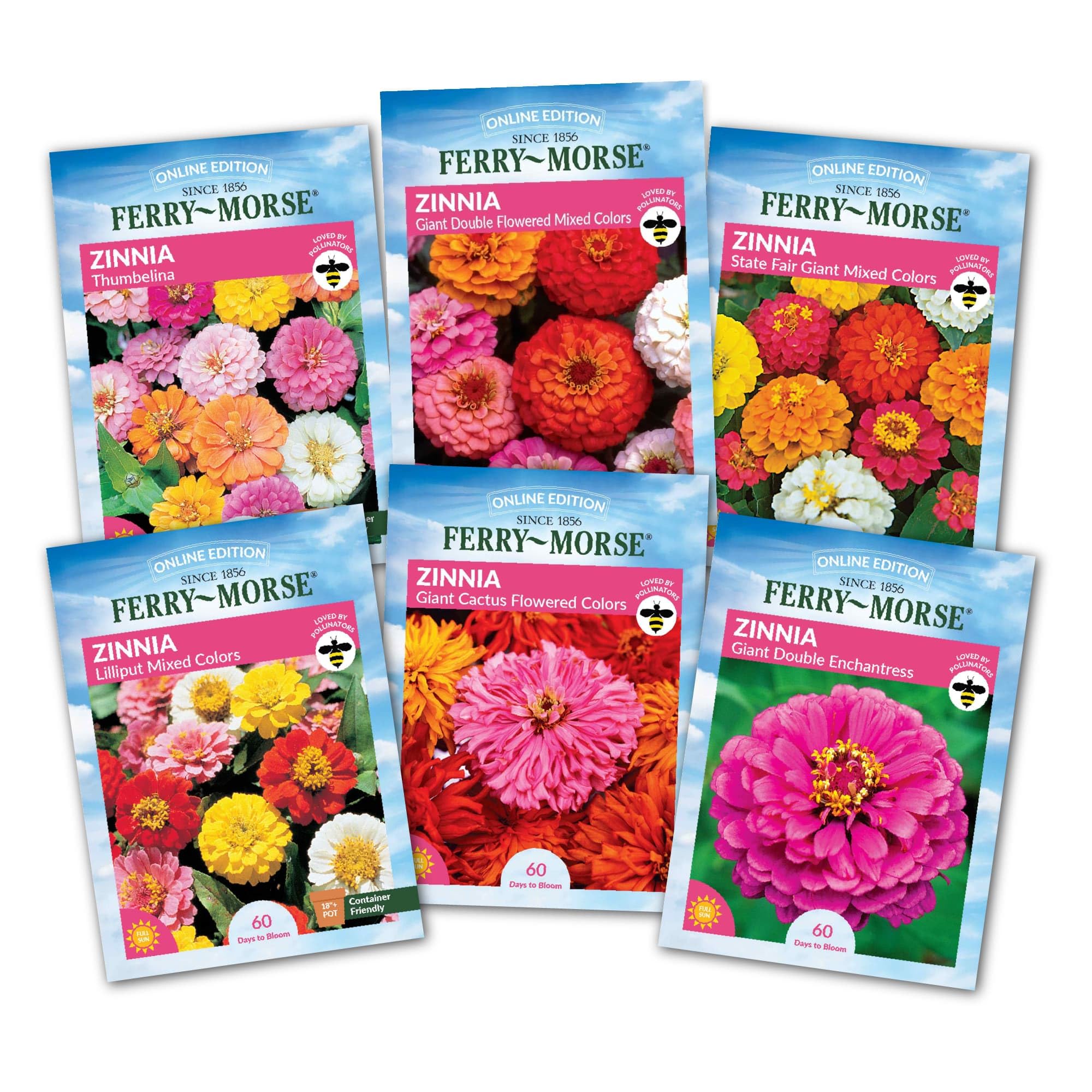 Ferry Morse Flower Seeds - Attracts Pollinators, Zinnia Mix, GMO Free - 6 Pack
