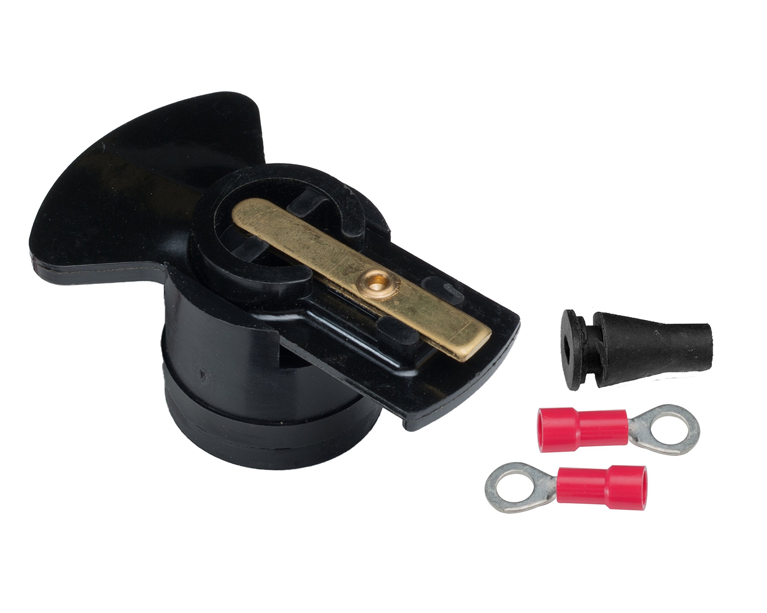 しらすPrime 高橋水産】豊後別府湾生しらす 計500g（100g×5パック）