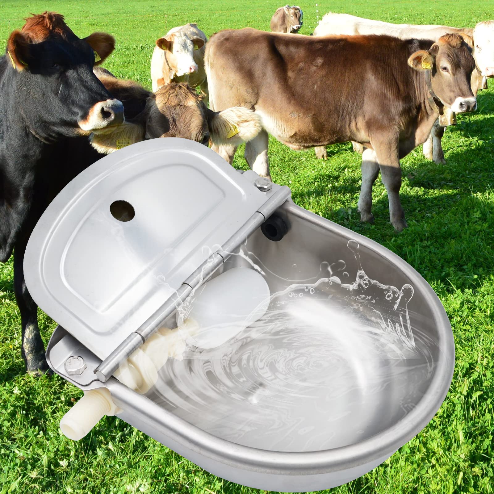 Abbeveratoio Automatico per Il bovini in Acciaio Inox, Abbeveratoio per Cavalli con Valvola Galleggiante in Plastica Sostituibile,Beverino per Cani per Cavalli,Mucche,Pecore,Maiali,Alpaca