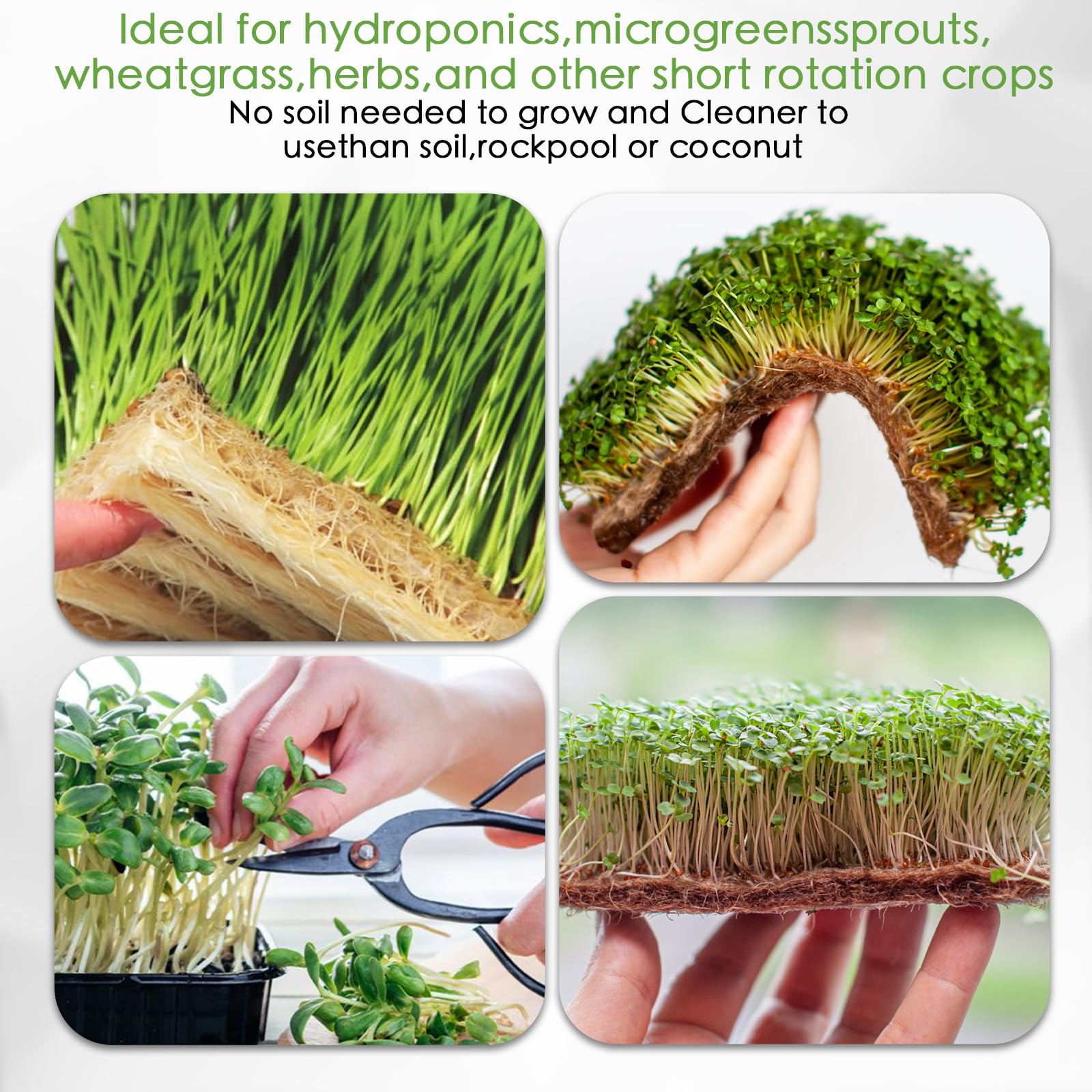 Paquete de 6 bandejas de cultivo de microgreens con 12 alfombrillas de cultivo de fibra de cáñamo para plantas, 15 x 11 x 2.5 pulgadas, kit de cultivo de semillas de jardín para plántulas, cultivo de