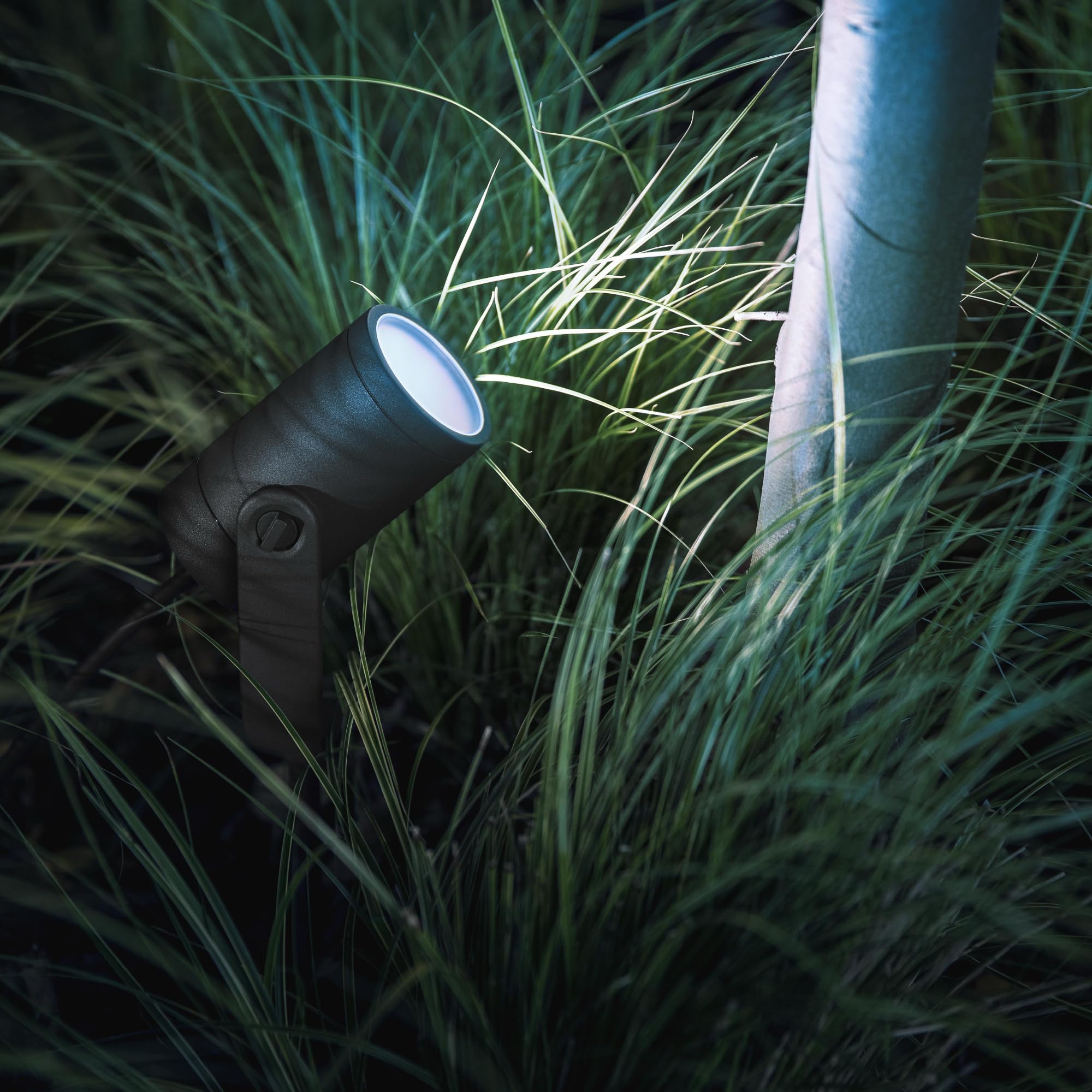 Philips Hue Lily Basis set mit 4 Gartenstrahler (Anthrazit) - Weißes und Farbiges Licht - inkl. 1 Stromkabel - Gartenbeleuchtung - Hue White and Color Ambiance