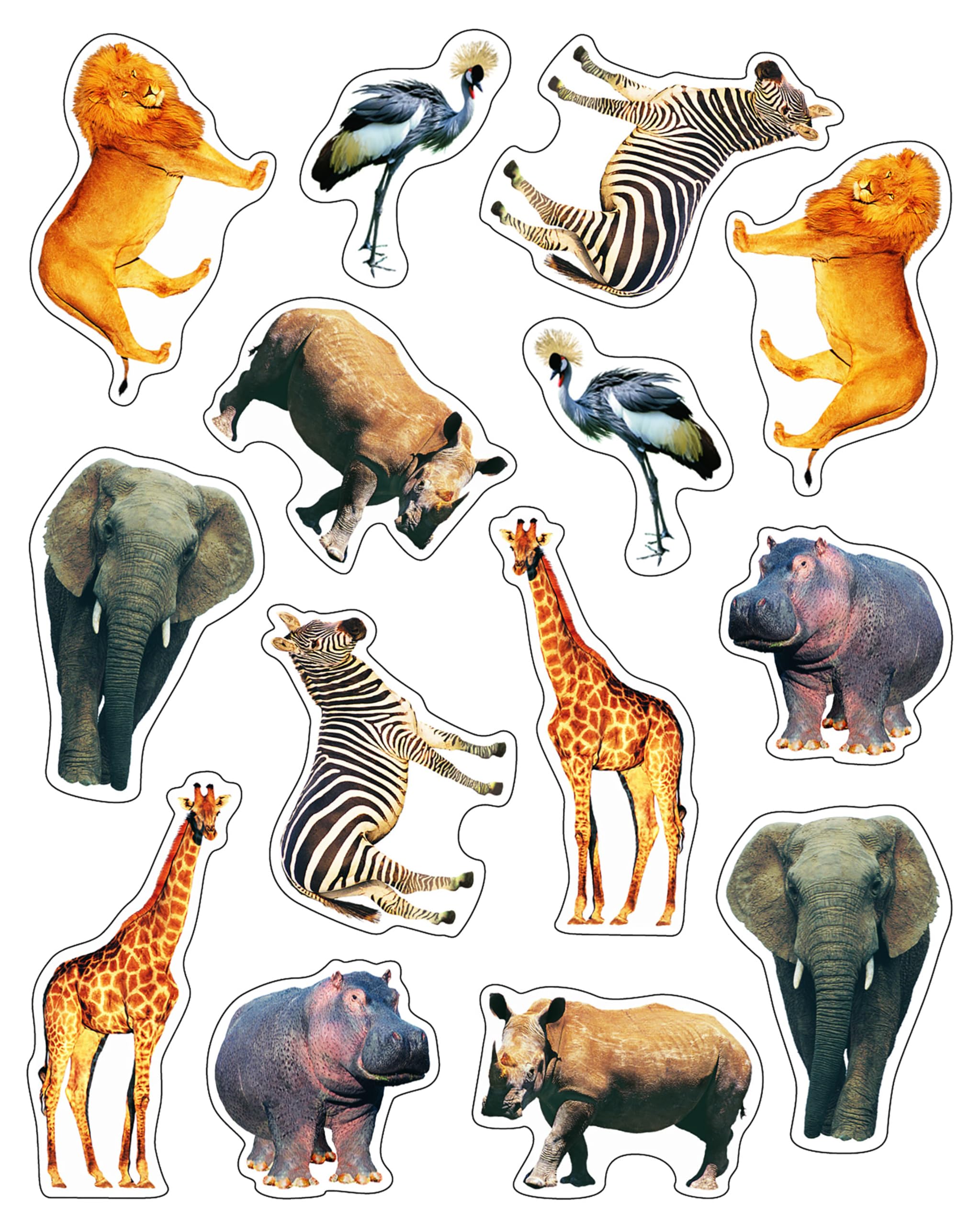 Carson Dellosa 84 Safari Animal Stickers for Kids, 6 Sheets of Lions, Elephants, Zebras, Giraffes, and More for Crafts, Scrapbooking, Water Bottle, Reward Chart, School Supplies, Classroom Must Haves