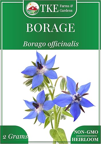 TKE Farms & Gardens - Semillas de borraja para plantar, 0.07 oz, 100 semillas de reliquia, sin OMG, paquete incluye instrucciones para el cultivo,