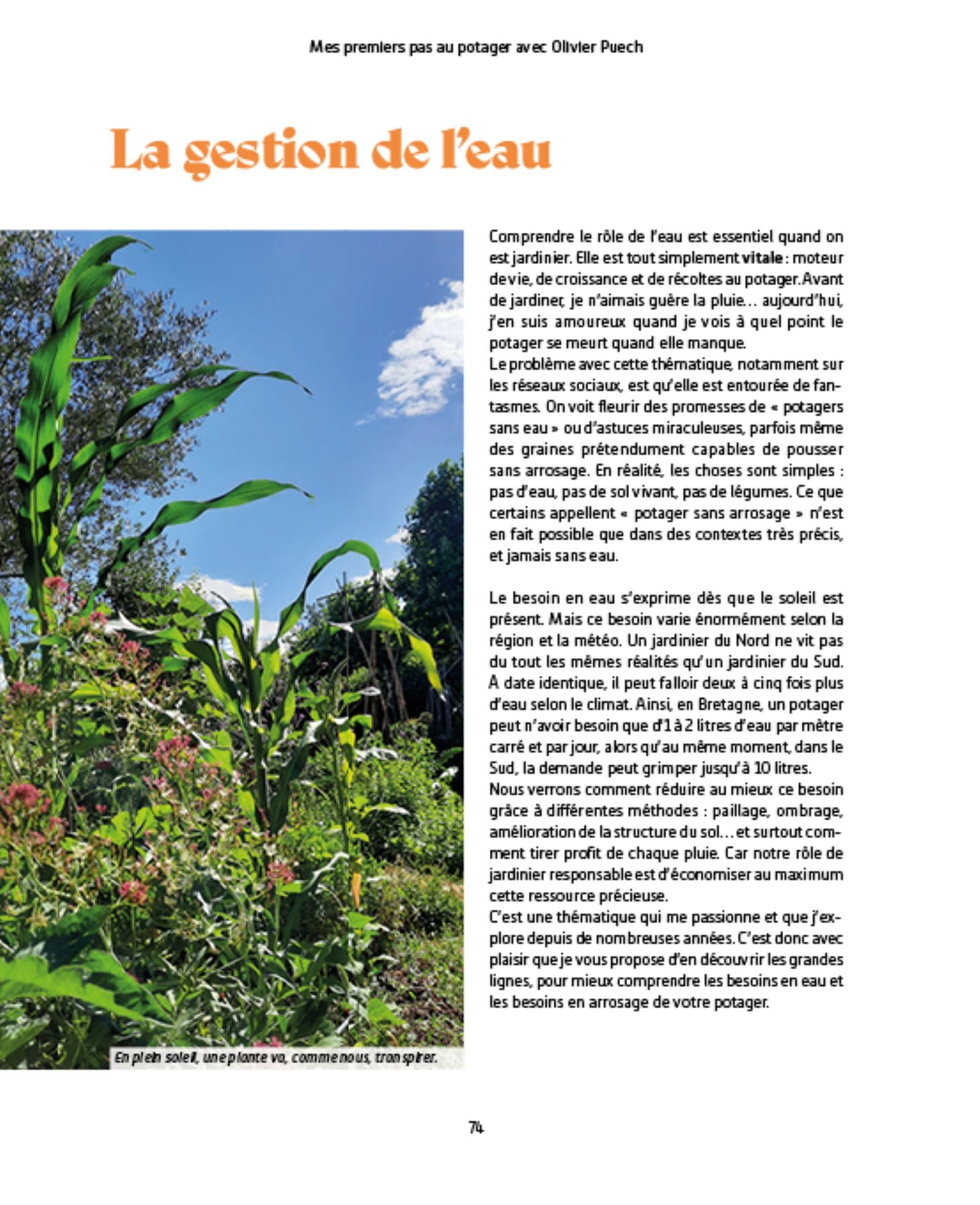 Mes premiers pas au potager avec Olivier Puech: Partage de 15 années d'expérience