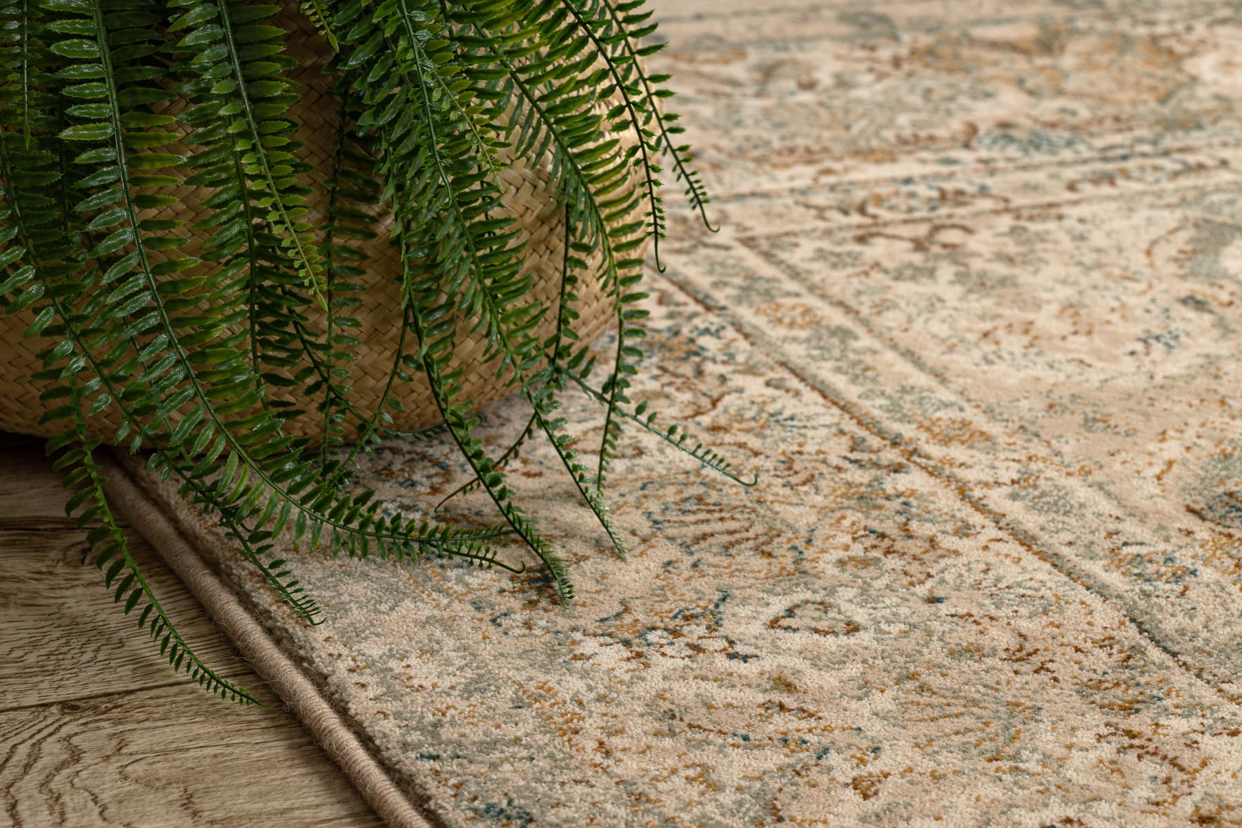 rugsx Wollteppich Omega für Wohnzimmer Schlafzimmer Beige 200x300 cm