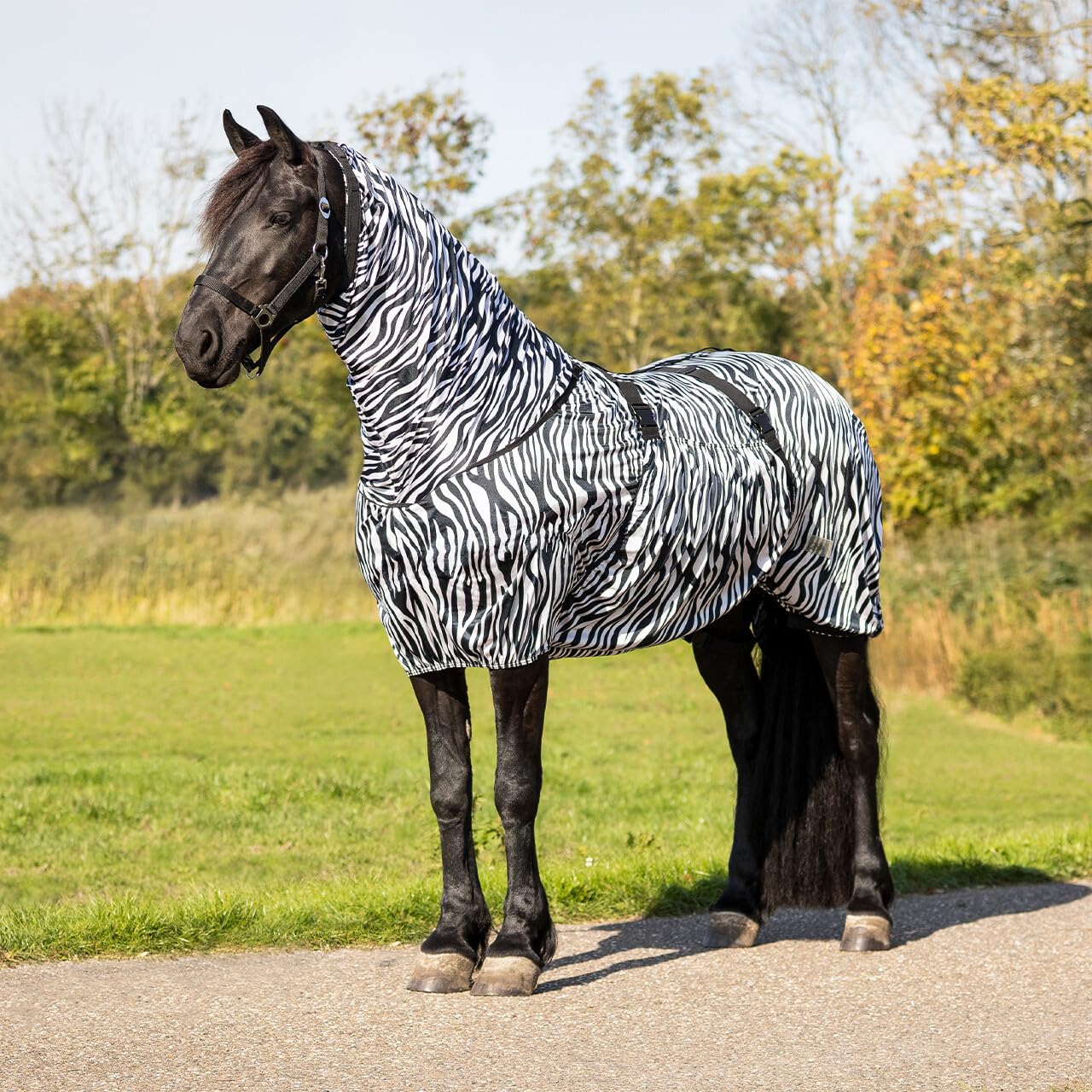 NETPROSHOP Ekzemdecke speziell für Friesen und Barockpferde atmungsaktiv Fliegendecke Größe 135-185, Groesse:135, Farbe:Zebra