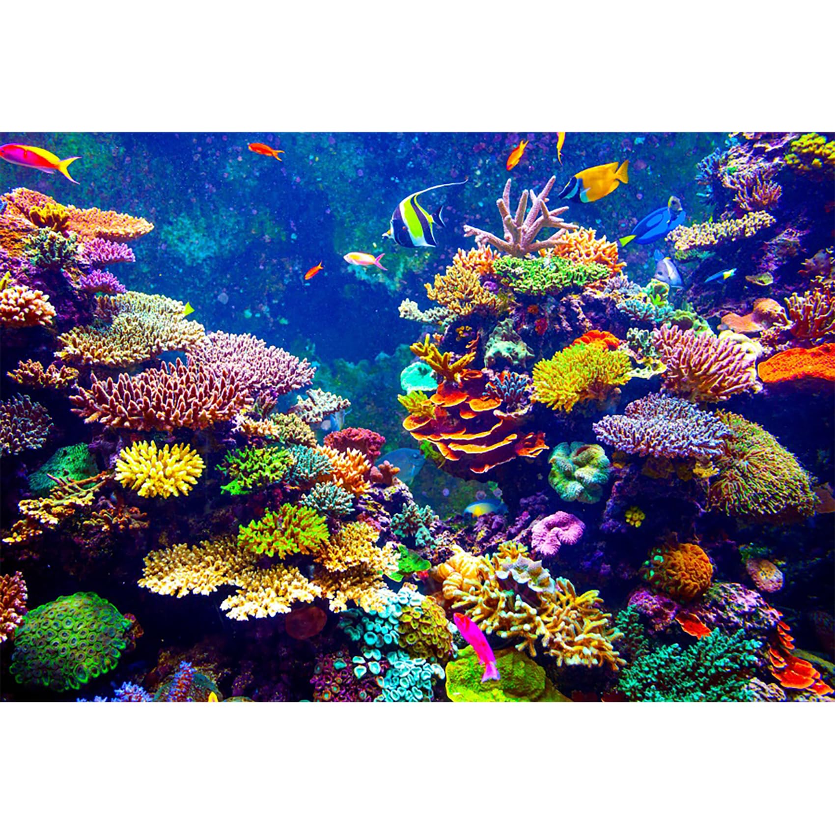 Ttincceer Underwater World Backdrop 20x10ft Colorful Coral Reef Tropical Fish Background Fish Tank Submarine Diving Landscape Photography Backdrop Aquarium Decor Birthday Banner