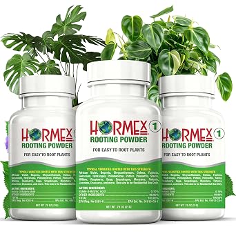 Hormex Rooting Hormone Powder #1 0.10% IBA for Delicate Houseplants, Succulents & Herbs - Gentle Root Stimulator & Growth Hormone for Softwood Plant Cuttings, Cloning, Propagation 3 Pack