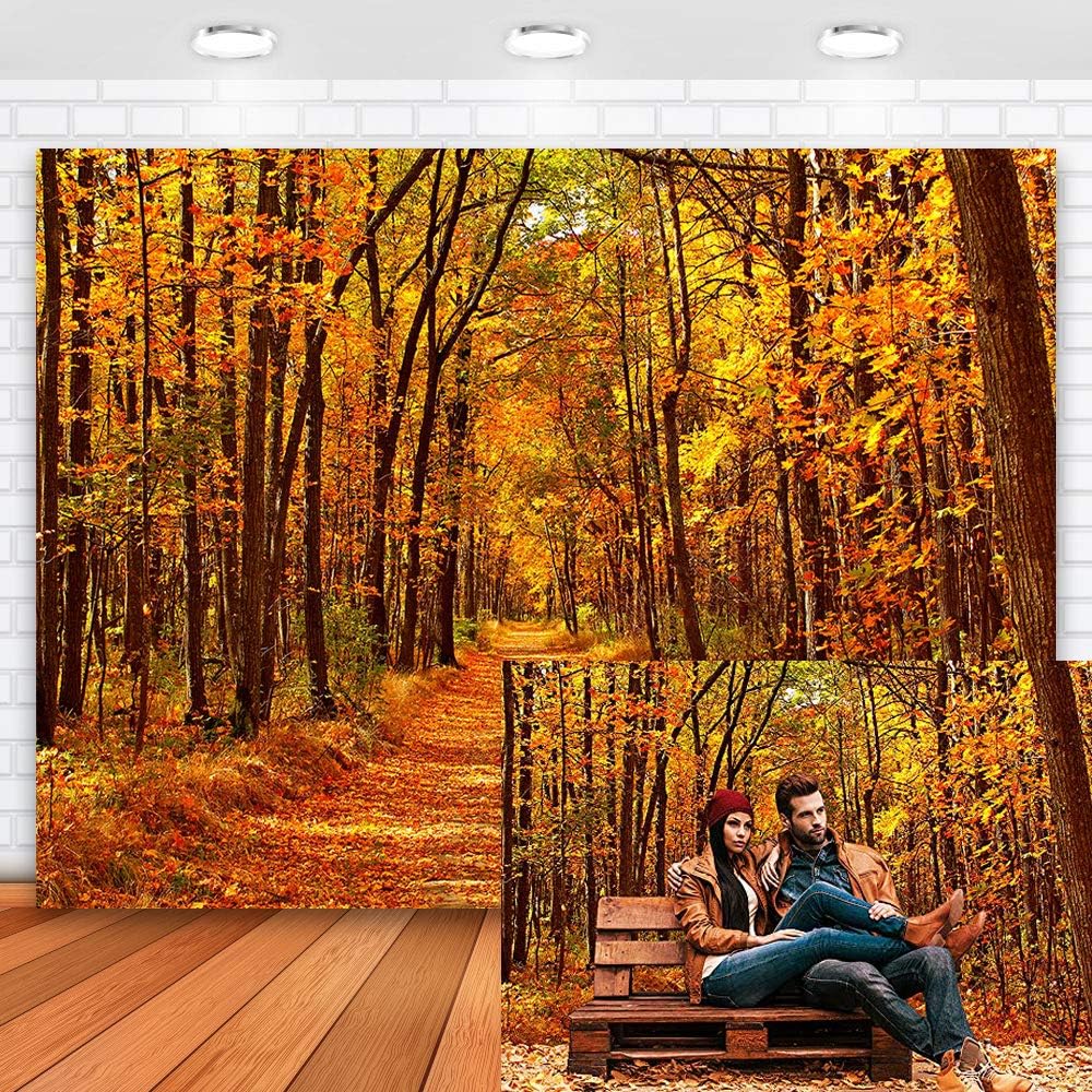 Amazon.com : Maijoeyy 7x5ft Fall Forest Backdrop Autumn Leaves Road
