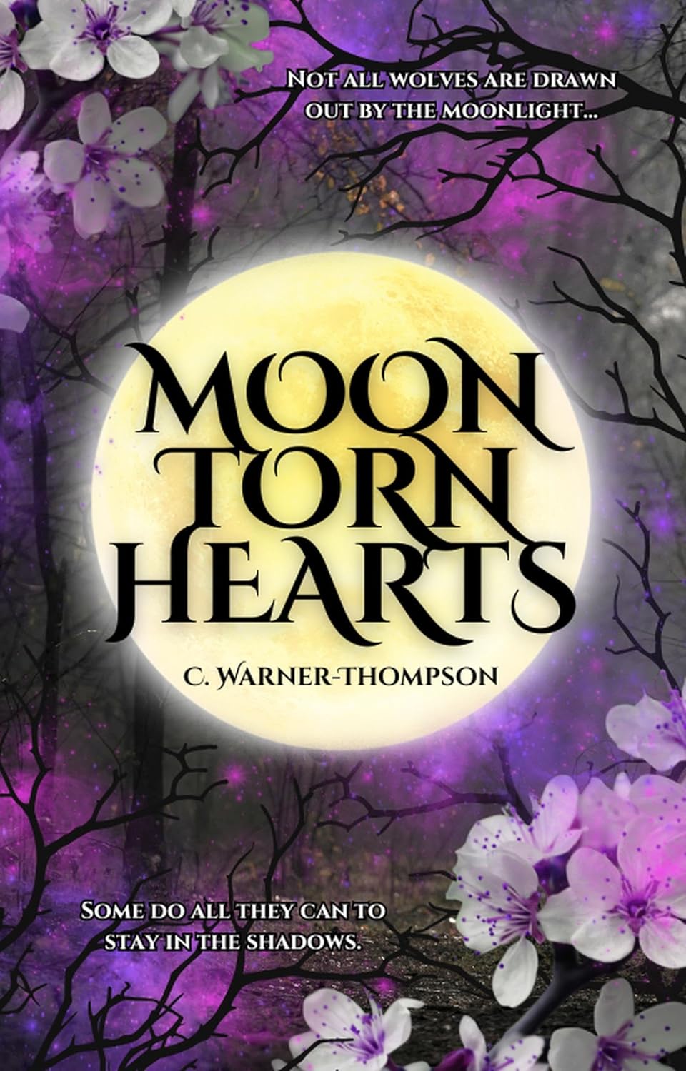 Moon Torn Hearts 