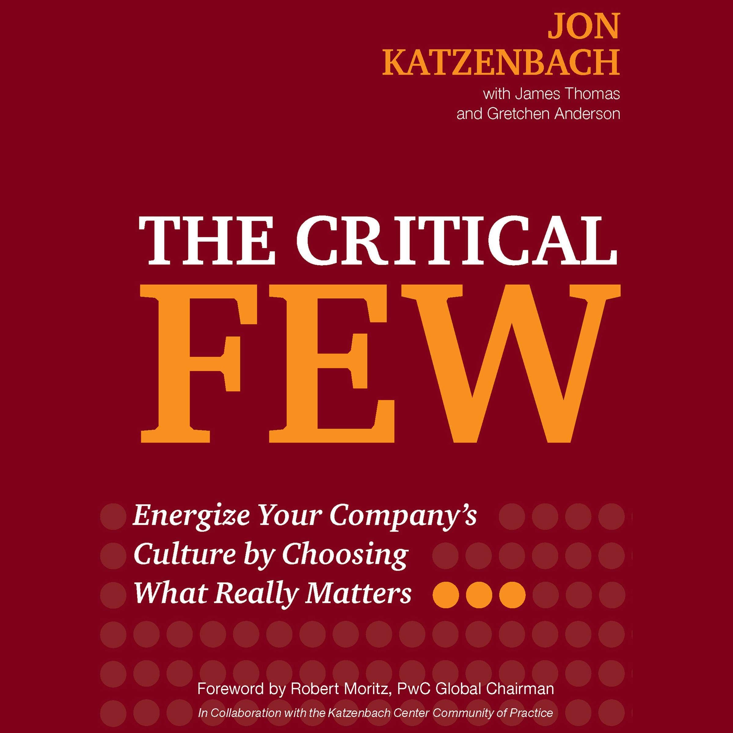 Cover art for The Critical Few: Energize Your Company's Culture by Choosing What Really Matters