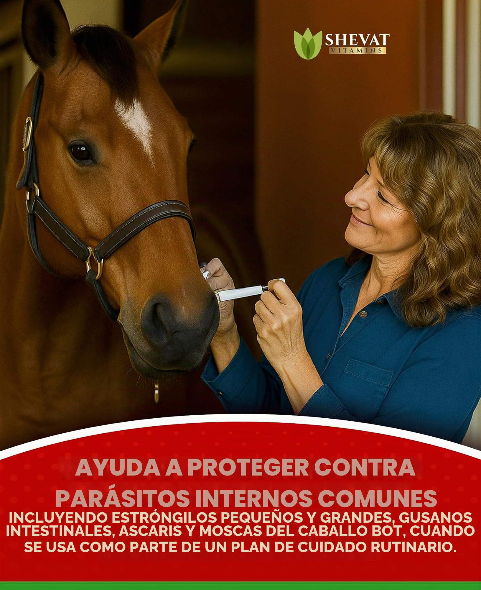 Ivermectin Horse Paste 1.87% Apple Flavor 6.08 g Tube for Horses up to 1200 lbs