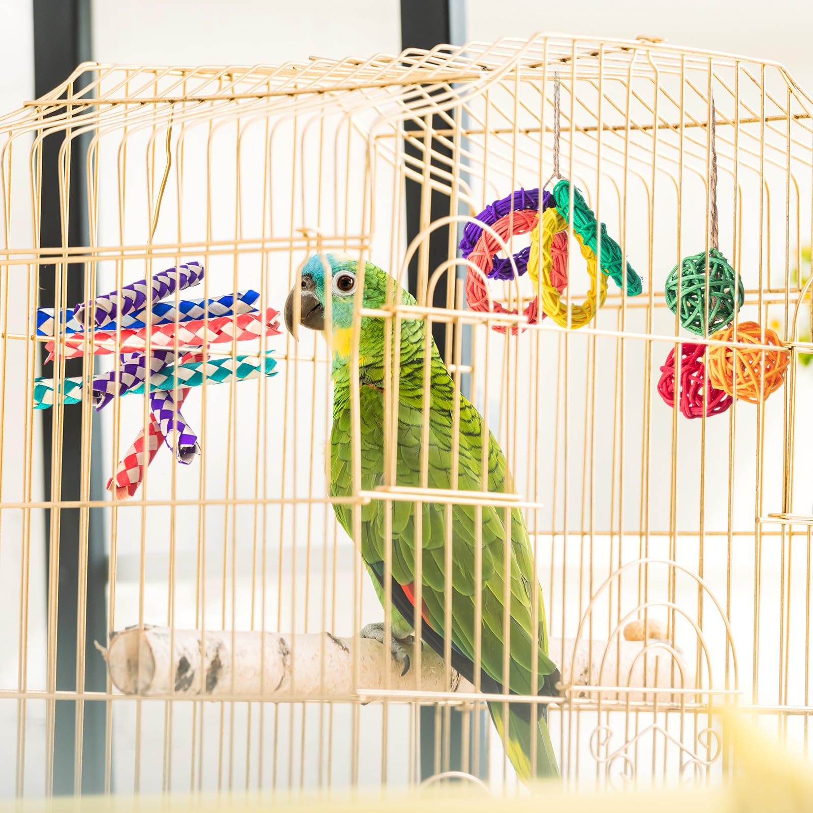 Hiboom 200 Stück Vogelspielzeug: 100 Fingerfallen, 60 Rattan-Kugeln, 40 Rankenringe – Papageien-Weidenbälle, Nymphensittich- und Sittich-Kauspielzeug für Wellensittiche, Kakadus, Haustierkäfig