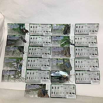 Amazon.co.jp: 【ジャンク/欠品・破損】 Yujin 原色図鑑シリーズ24