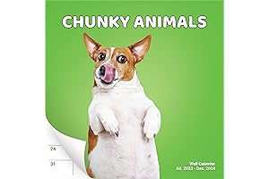 2023 Wall Calendars Funny - Super Cute and Hilarious 18 Month Chunky...