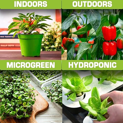 Miniatura 5 de Semillas de vegetales, dulces y picantes más populares para jardinería al aire libre, interior e hidroponía  Total de 20 bolsas individuales con