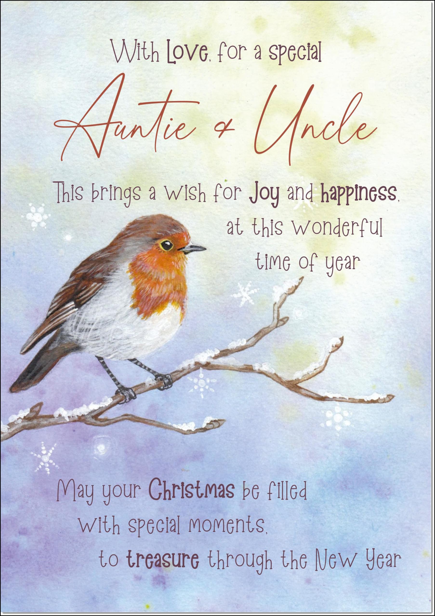 doodlecards Auntie and Uncle Christmas Card Watercolour Robin In The Frost Large A4 Size Christmas Card for Auntie & Uncle with Plain Envelope — image 1