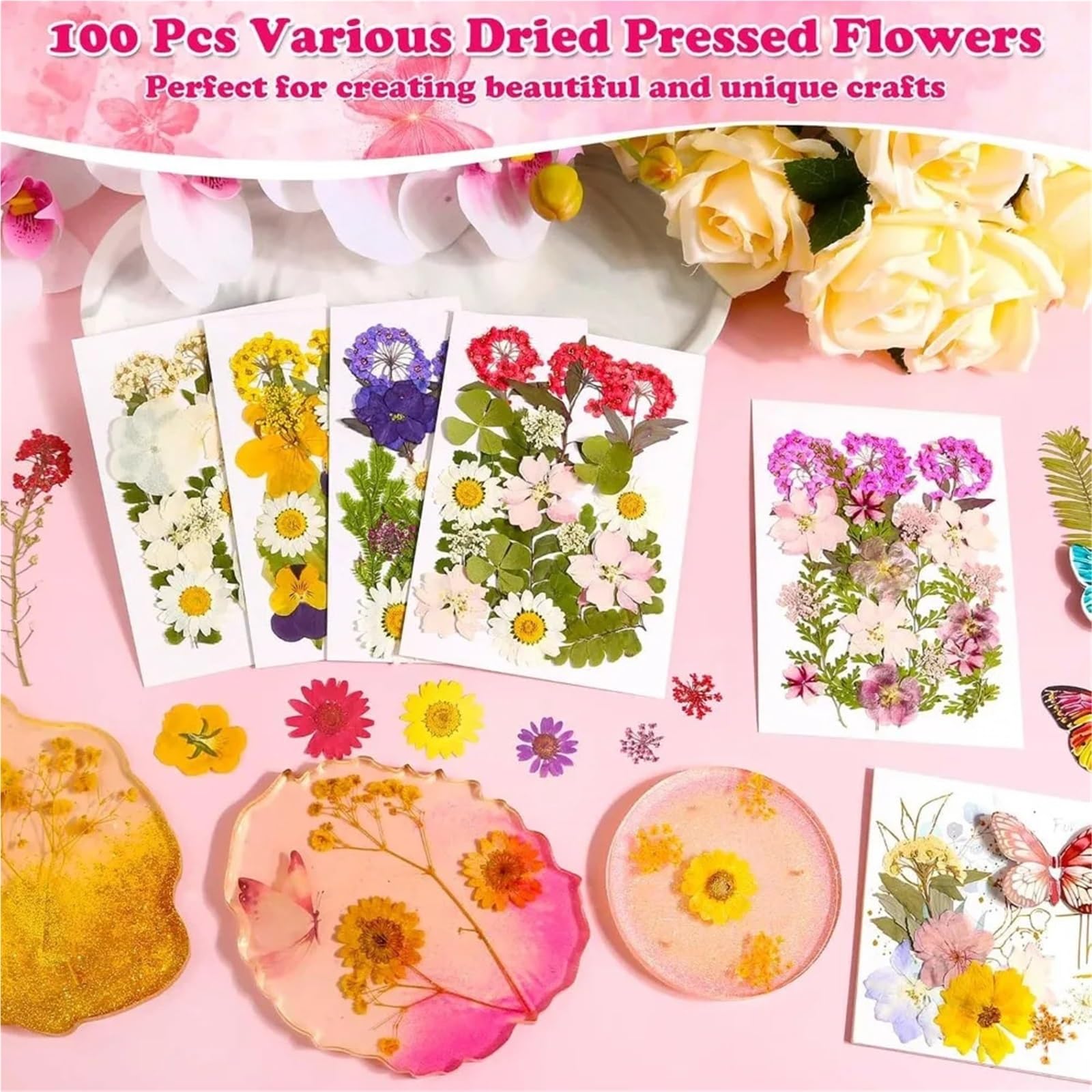 Fiori Pressati ed Essiccati 100 pezzi 5 fogli di fiori pressati secchi