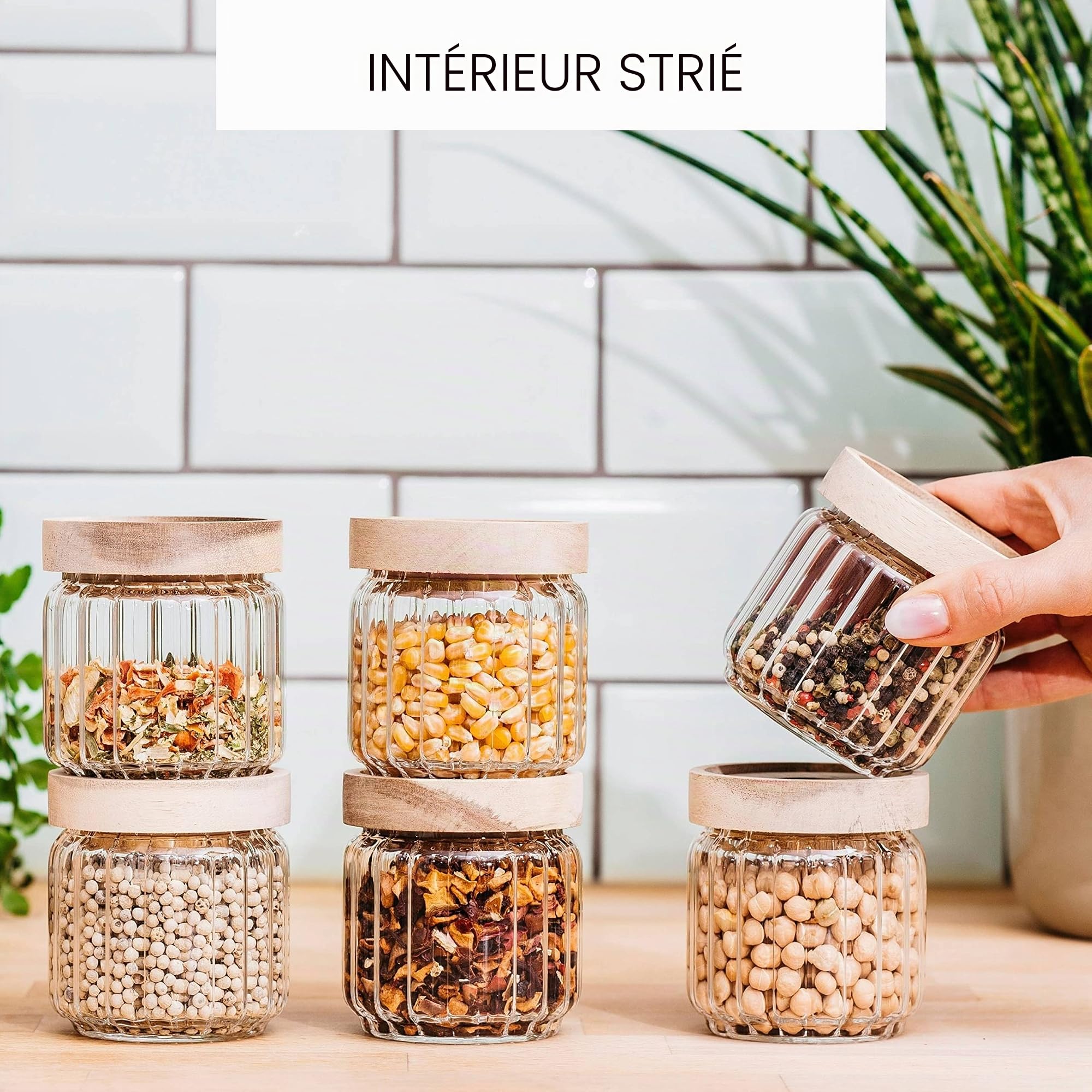 Econovo® Lot de 6 pots à épices striés (150 ml, empilables et hermétiques), avec couvercle, pour aliments ou épices, grands et petits