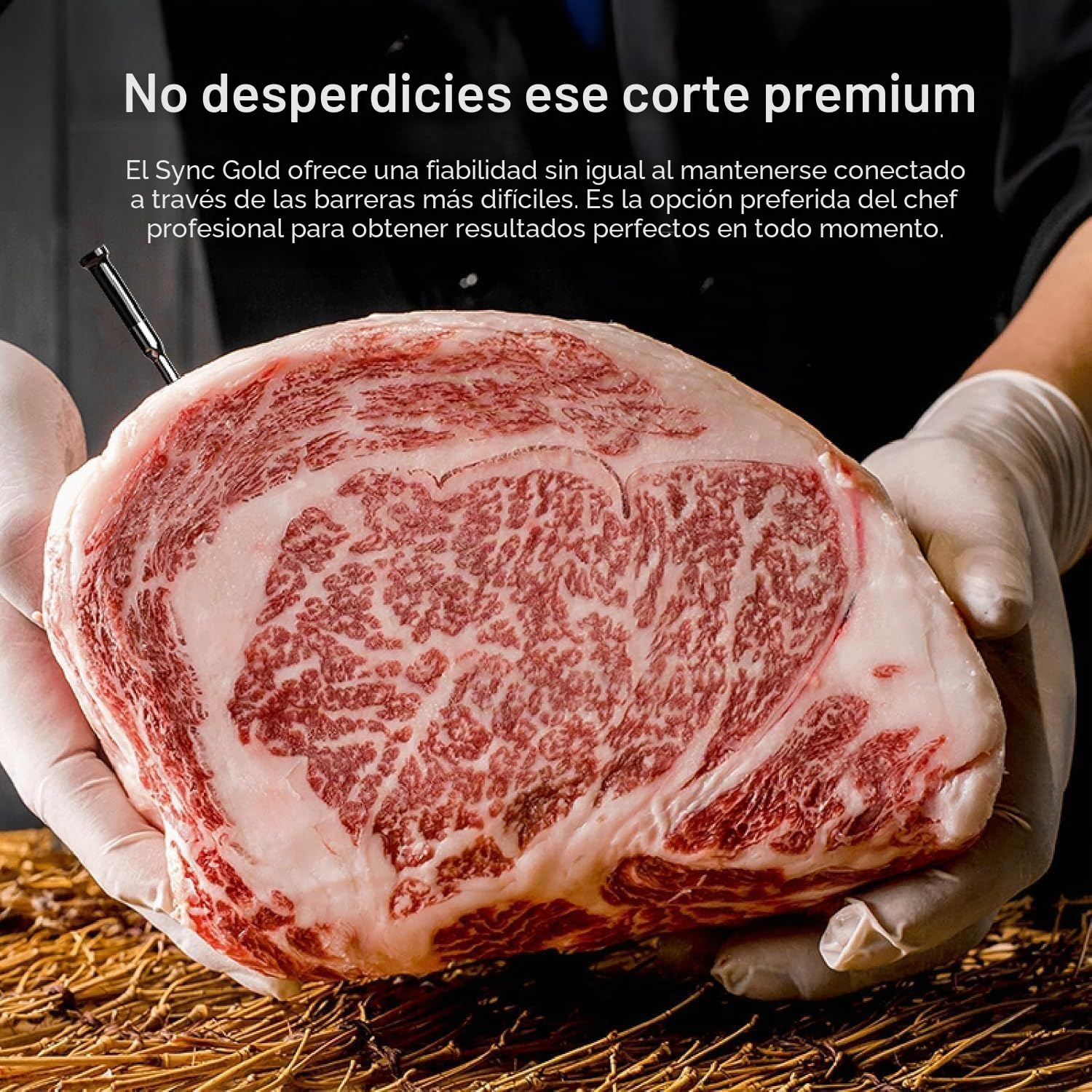 Typhur Sync Gold Termómetro Inteligente para Carne Inalámbrico con 2 Sondas | Señal Sub-1GHz 10x, 6 Sensores por Sonda, NIST ±0,3 °C, IPX8, Base de Aluminio y App con IA para BBQ, Horno, Ahumado