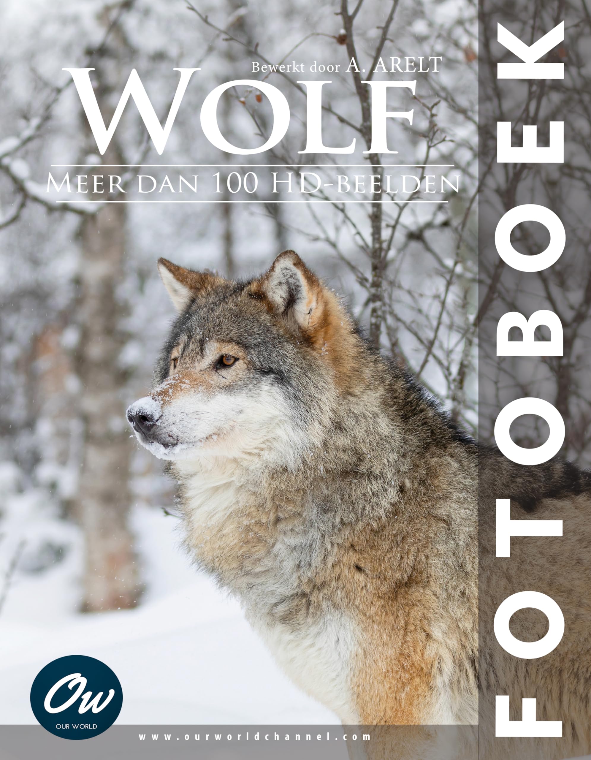 Wolf livre photo pour décorer votre salon et voyager en nature