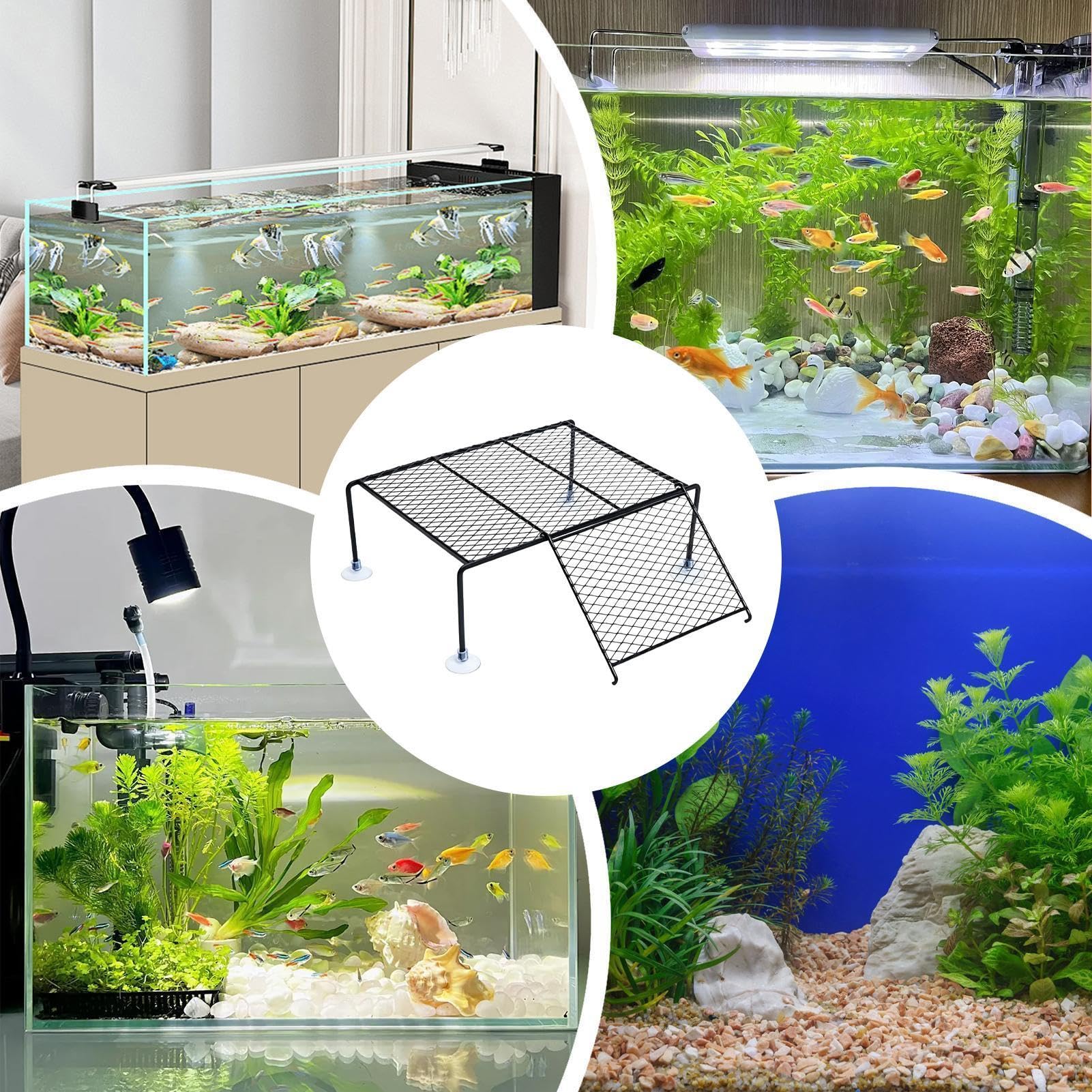 Plataforma para Tortugas en Acuario | Rampa Descanso terrestre para Animales - Zona asoleo Acuario Tortugas Mascota - Rana, galápago, salamandras, cangrejos, Tortuga terrestre