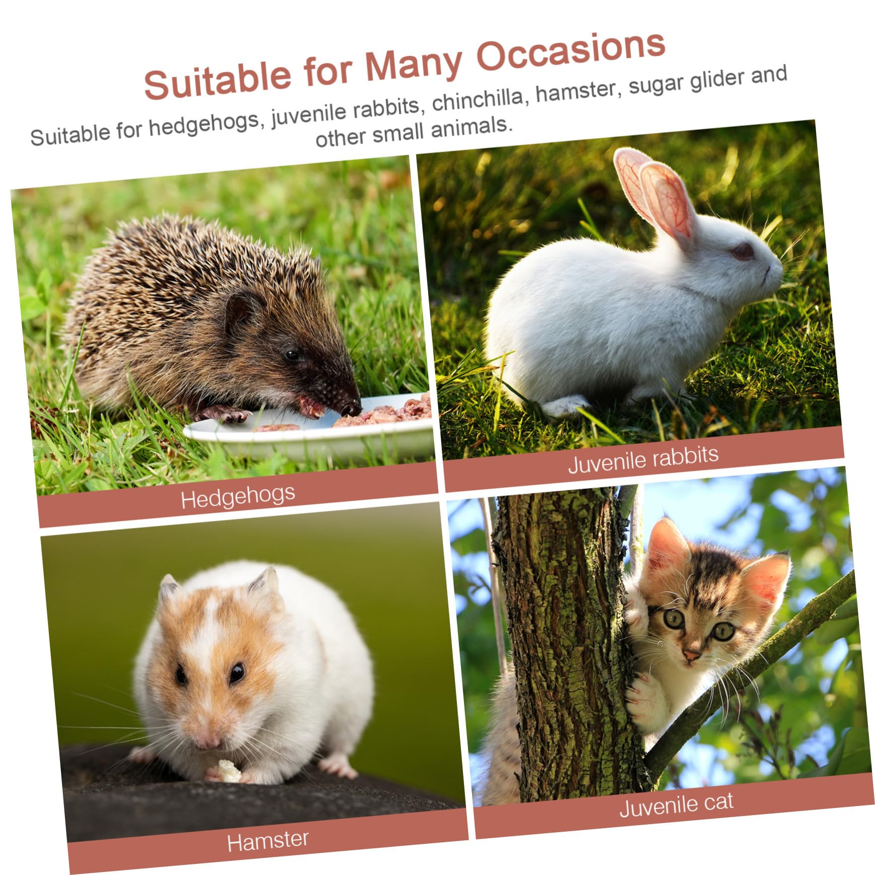 Gatuida Keramik Modischem Design für Hamsternest als Kühles und Bruchsicheres Schlafhaus mit Kleinen Mäuse und Hamster Sommerversteck für Haustiere