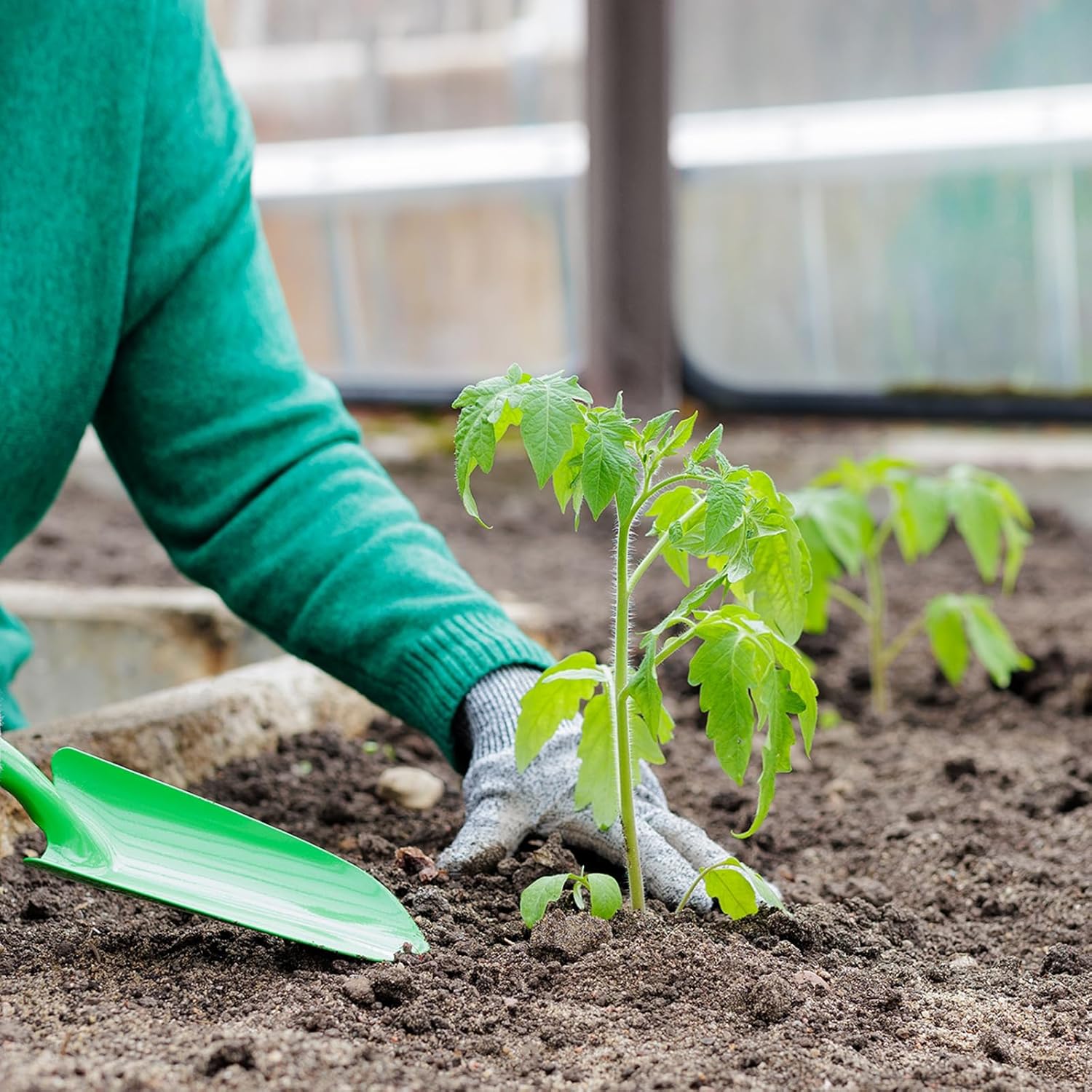 HARFINGTON 36pcs Mini Colorful Metal Hand Shovel 11" x 3" Digging Trowel Set Transplanting Garden Tools for Flower Soil Digging Planting Weeding Transplanting Garden, 6 Colors