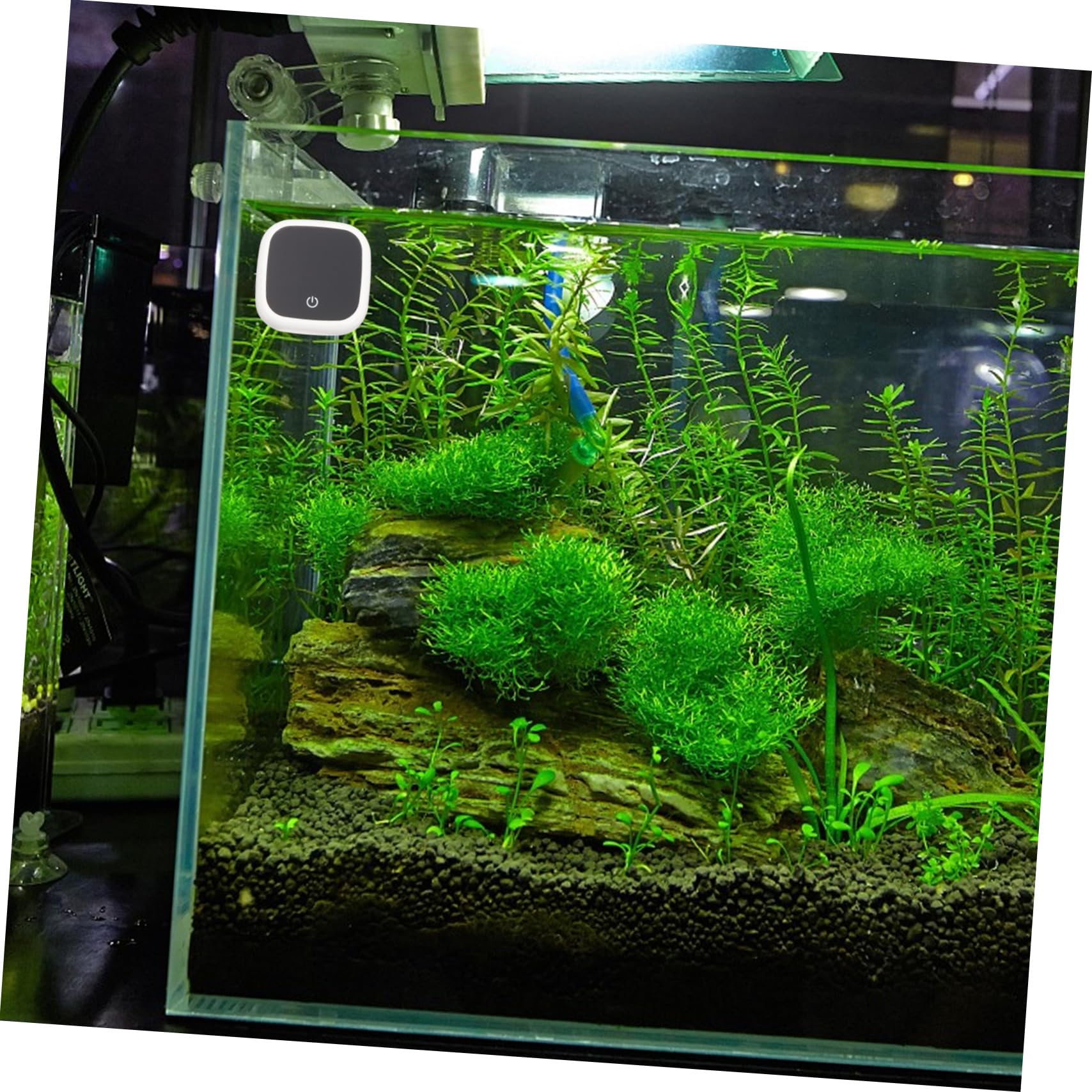 BESPORTBLE 5stücke Digital Aquarium Thermometer Wasserdichtes Leicht Installierbares Thermometer Für Aquarien Präzise Temperaturmessung Geeignet Für Verschiedene Fischarten Und