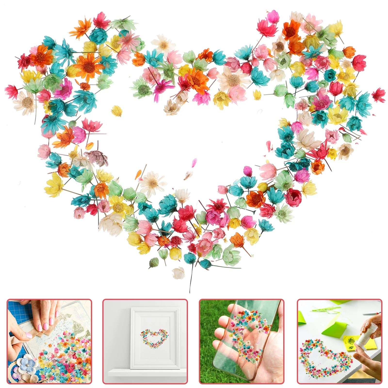 Fiori secchi pressati, Fiori pressati essiccati 1 Sacchetto di Fiori secchi Fai da Te Artigianato epossidico for Realizzare Fiori secchi for Realizzare Fiori secchi, Petali secchi Naturali