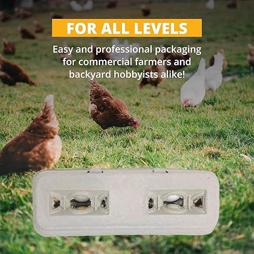 Miniatura 5 de Stromberg's Cajas grandes de huevos en blanco, paquete a granel para huevos grandes, perfecto para marca personalizada, almacenamiento seguro y