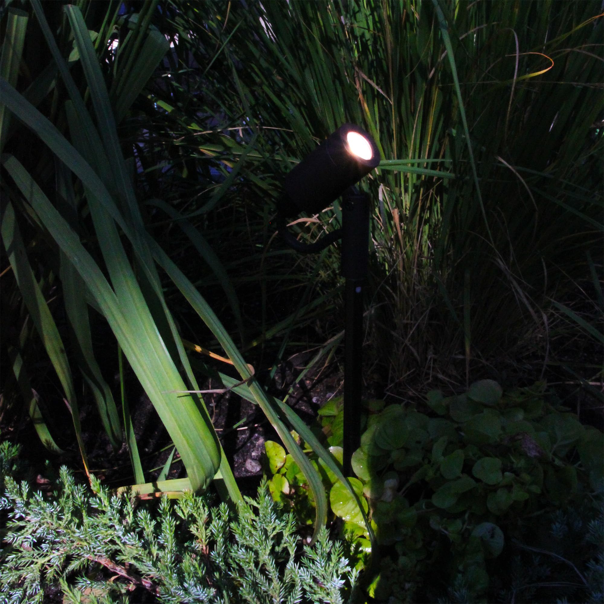 LightsOn Astro Podświetlana lampa ogrodowa LED Plug & Play: system 12 V, oprawa z regulacją wysokości, ściemniana ze średnim rozpraszaniem, łatwa instalacja i rozbudowa, dla małych drzew, krzewów i