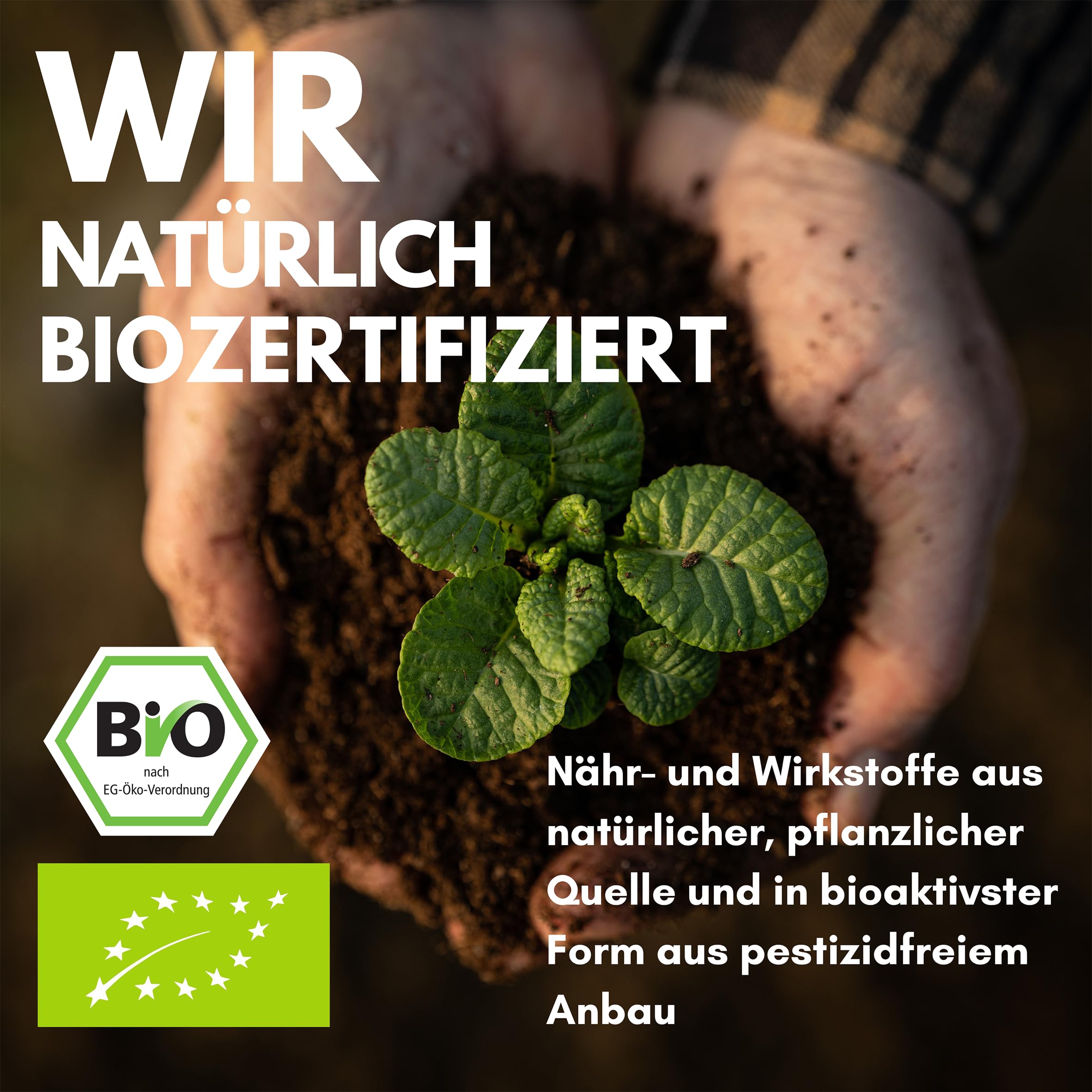 Leber Komplex I 180 Kapseln - mit Mariendistel, Artischocke, Curcuma, Löwenzahn, Cholin, Vitamin B12, Folsäure I Leberkur I hochdosiert I laborgeprüft I in Deutschland produziert I Vitaconcept